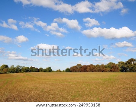 Scenic View of a Harvested Farmland Field