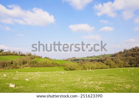 Scenic View of Farmland Fields in Early Spring
