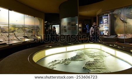 BRISTOL - JAN 11: View of an interactive display in the natural history section of Bristol Museum on Jan 11, 2015 in Bristol, UK. Bristol Museum has a large natural history collection.