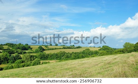 View of a Green Farmland Field and a Cloudy Blue Sky Above