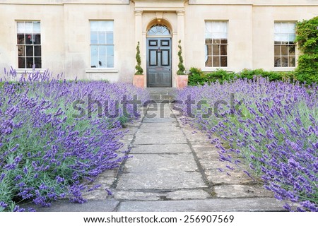 View of a Garden Path Lined by Lavender Flowers Leading to a Beautiful Georgian Era English Town House Built Circa 1750