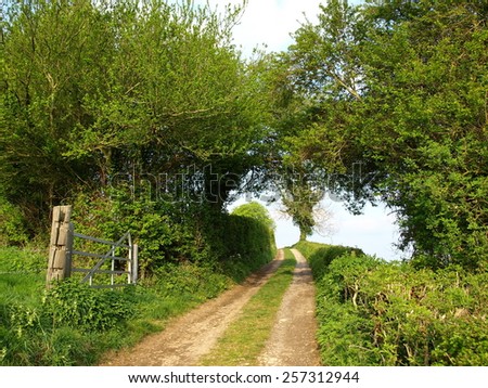View of a Country Road in Rural England