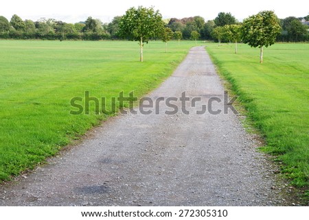 Scenic View of a Country Road in Rural England