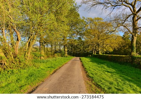 Scenic View of a Country Road through Farmland in Rural England