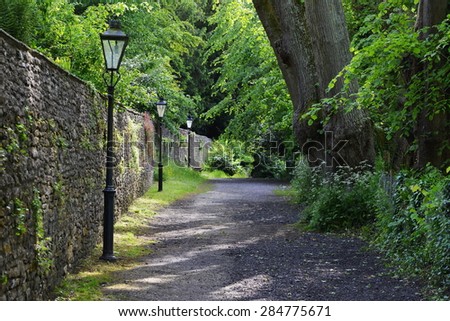 Scenic View of a Path on a Green Tree Lined Leafy Lane