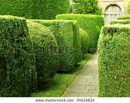 Garden Landscaping on Garden Path With Topiary Landscaping Stock Photo 34626826