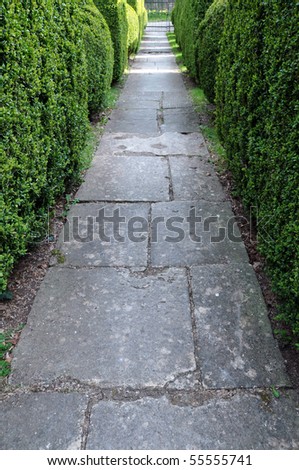 Garden Stone on Stone Paved Garden Path And Topiary Hedgerow Stock Photo 55555741