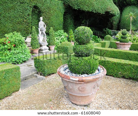 Lush Green Topiary in a Tranquil Garden