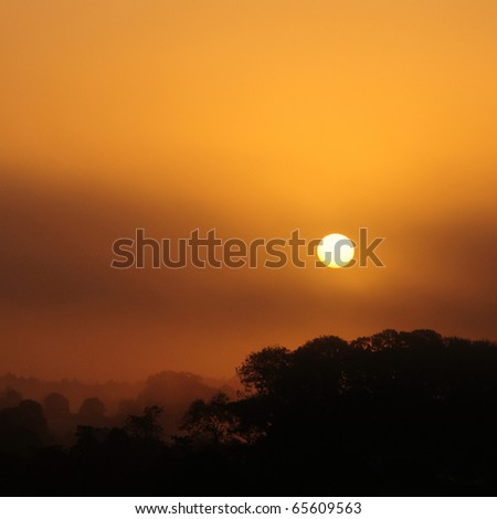 Sun Rising above Forest Silhouette