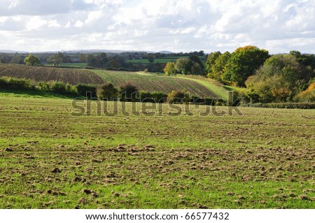 Countryside Scene of an Open Farmland Field