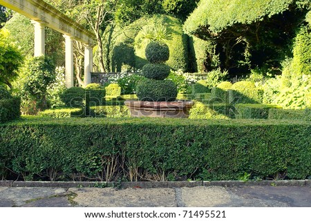 Lush Green Topiary in a Scenic Tranquil Garden