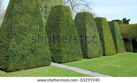 Topiary in a Peaceful Green Garden