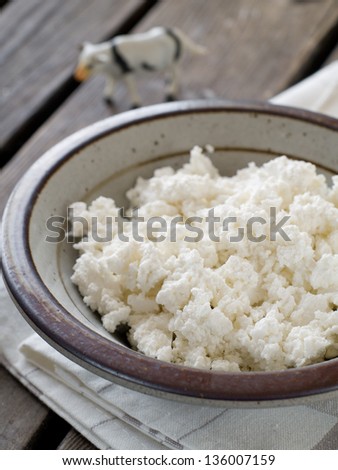 Cottage cheese with cow on background, healthy food. Selective focus