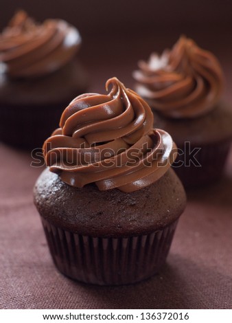 Chocolate and espresso cupcakes with chocolate swirl icing, selective  focus