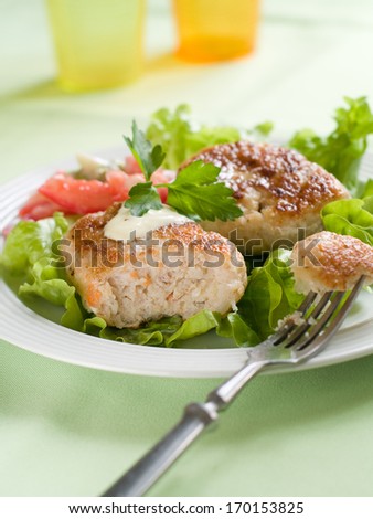 Traditional fish or meat  rissole with sauce and vegetable, selective focus