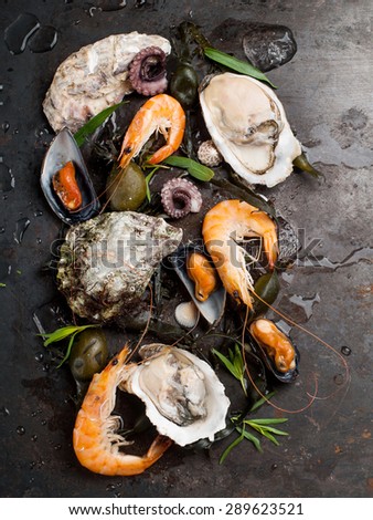 Delicious fresh seafood on dark vintage background, selective focus