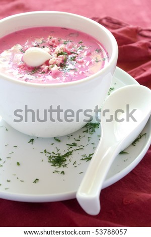 Cold vegetable soup with beet, cucumber, radish and egg