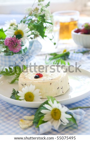 The served table decorated by a checkered cloth and wild flowers by a summer holiday