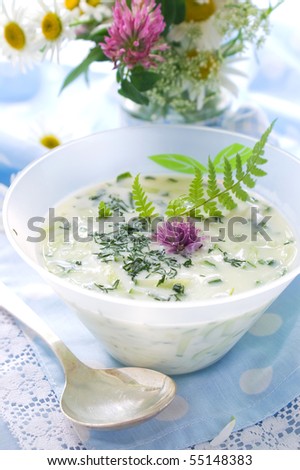 Cold vegetable soup with cucumber and garlic