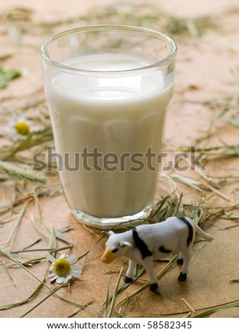 Milk glass on a board with toy cow
