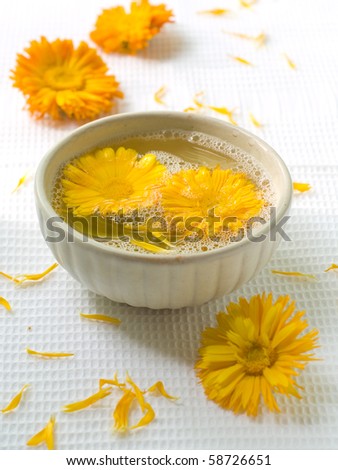 bowl of water and flowers . Chamomile on background. Could be a generic toiletry.