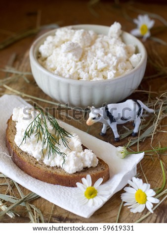 Bread with cottage cheese  and toy cow and bowl of fresh cottage cheese in background