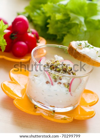 Healthy eating - cottage cheese or cream cheese with radish and sprouts