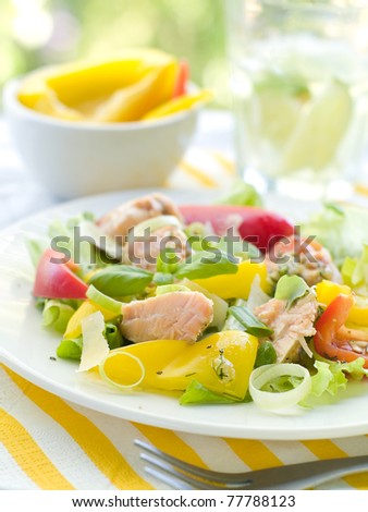 Fresh vegetable salad with grilled salmon Selective focus, shallow depth