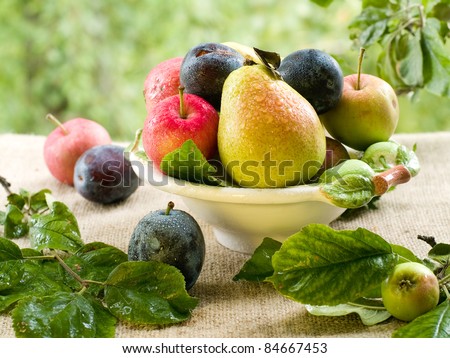 Fresh ripe pears, plums and apples in bowl on natural background. Selective focus
