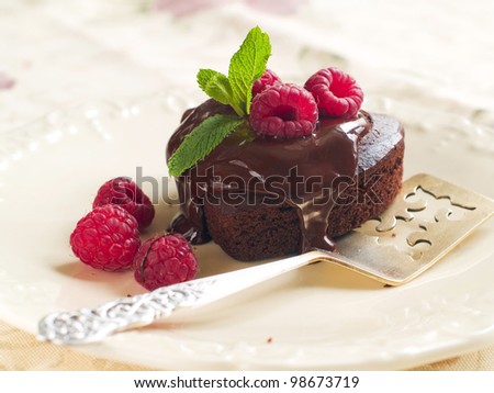 Beautiful chocolate cake with fresh raspberry. Selective focus