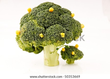 Parts Of Broccoli
