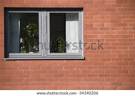 A kitchen window