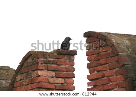crow on a medieval tower on white bg