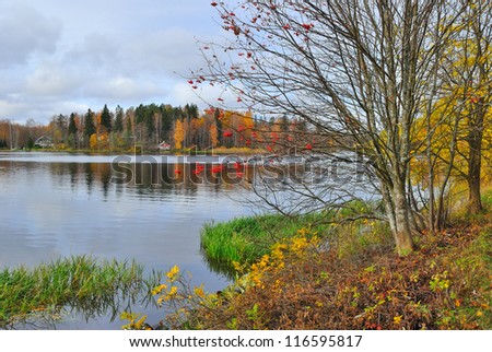 Finland, Hameenlinna. Beautiful lake Vanajavesi in autumn
