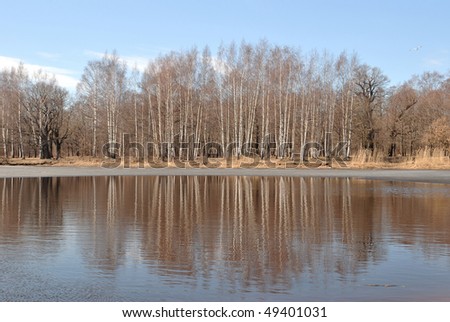 Spring trees reflecting in water