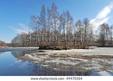 Beautiful spring landscape with trees reflecting in water