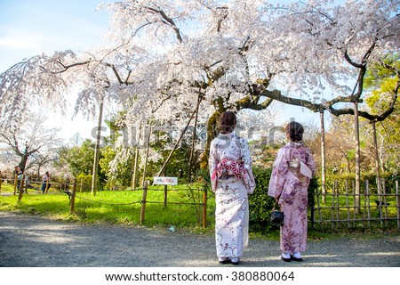 KYOTO, JAPAN - APRIL 01, 2014 : Young women in beautiful Japanese kimono dress enjoying sakura cherry blossom at hanami festival in Yasaka shrine, Kyoto, Japan