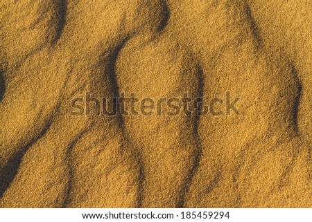 Sandy waves in the Sahara Desert. Background for your design.