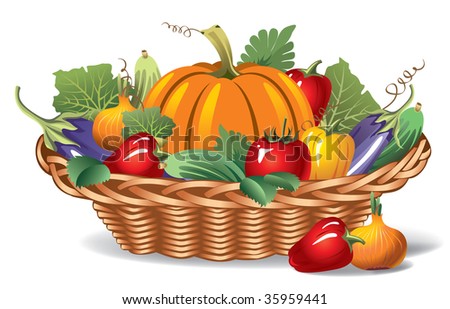 ripe appetizing vegetables in the basket
