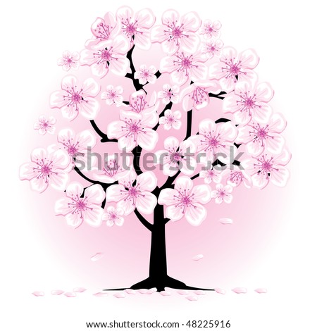 cherry tree drawing in blossom. stock vector : lossom cherry