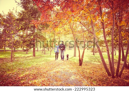 Portrait of couple with dog walking together autumn fall season