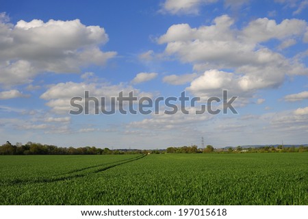 Big Cloudy Sky over Green Fields