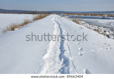 Path in sunny, cold winter day, Ukraine