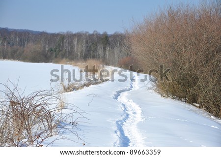 Path in cold, snowy winter
