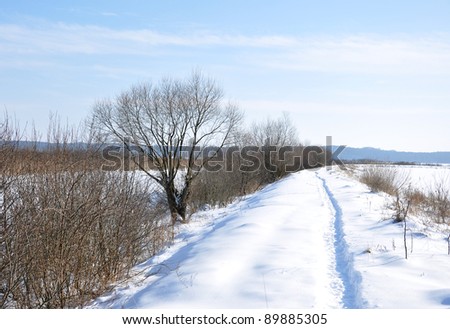 Path in cold, snowy winter