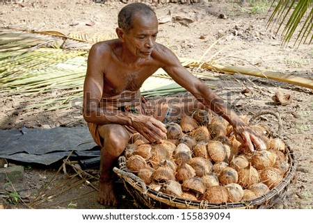 KERALA, INDIA - DECEMBER 5: Man working on coconut plantation, opening tropical coconut, the most popular tree in southern India,   on December 5, 2012 in Kerala, India.