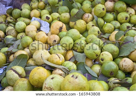 Guavas from the indian market background