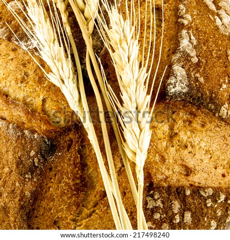 Different bread and bread slices. Food background