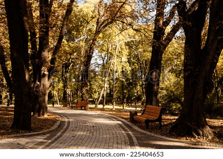 The perspective of the row of benches in autumn park while fall with walking people in background