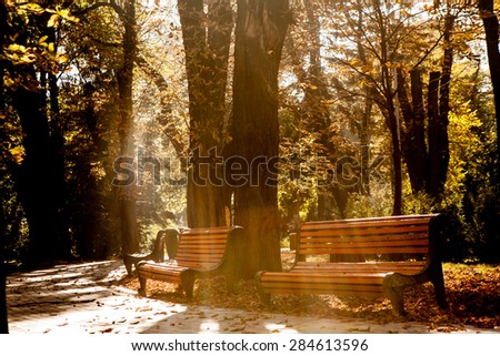 The perspective of the row of benches in autumn park while fall with walking people in background